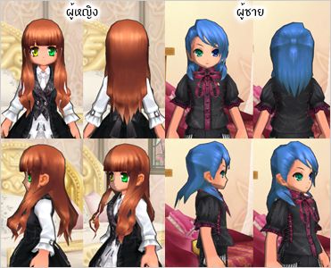 FRILL Introduction Letter